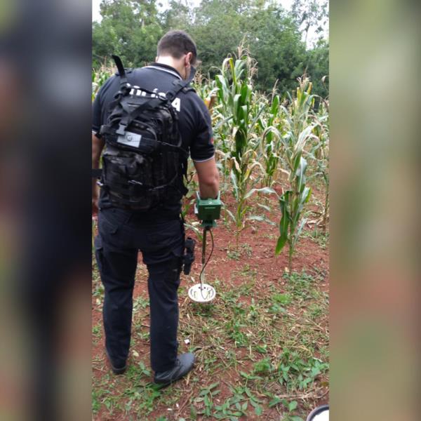 Polícia Civil retorna em propriedade de Linha Herval e localiza tijolo de maconha