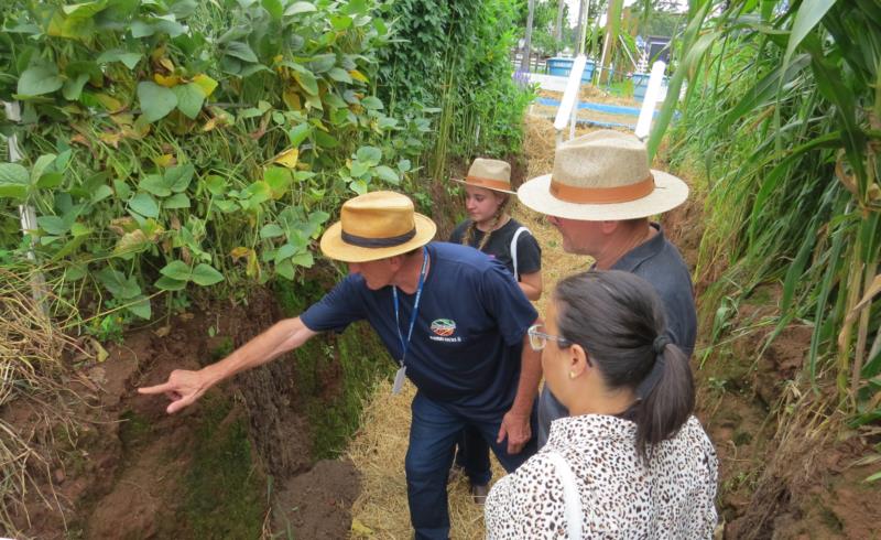 Investir em fertilidade e conservação do solo e da água é um bom negócio