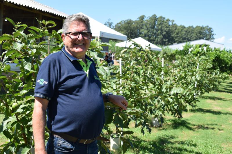 Pomar da Embrapa chama a atenção no Parque da Expoagro