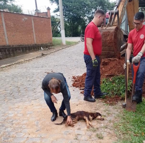 VÍDEO: cachorro é resgatado de bueiro pelos bombeiros em Rio Pardo