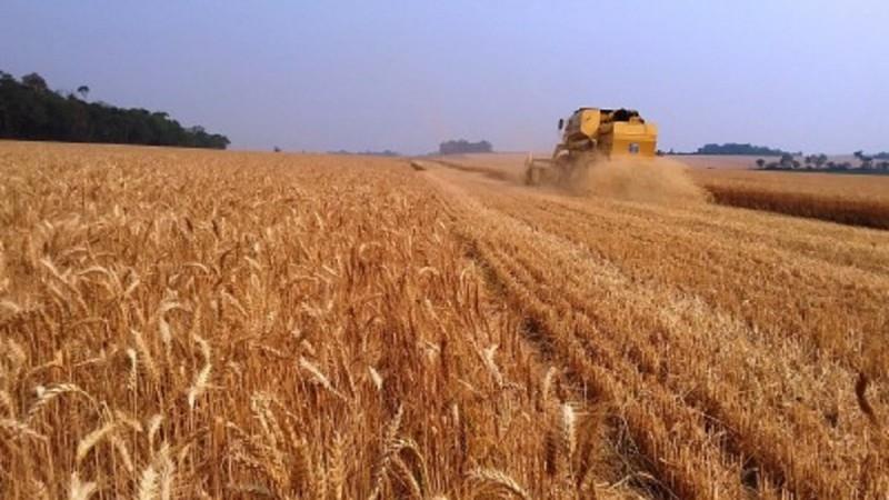 Produtores de trigo e soja demandam a recuperação do solo e das vias de escoamento da produção