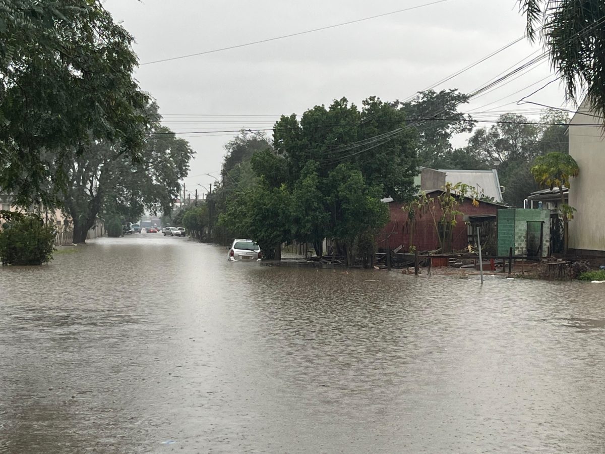 FOTOS: moradores intensificam retirada dos móveis após elevação do Arroio Castelhano em Venâncio Aires