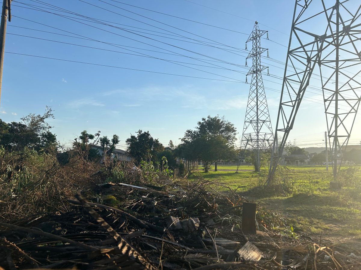 Bombeiros trabalham em incêndio em vegetação próximo a torres de alta tensão em Santa Cruz