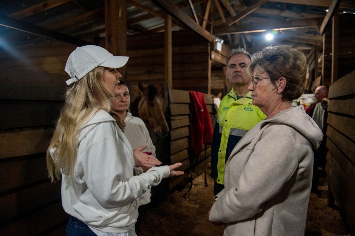 ONG Cavalo de Lata receberá mais recursos da Prefeitura