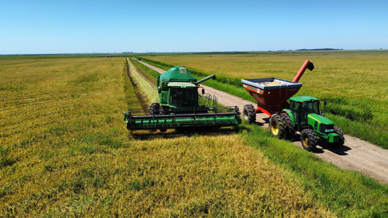 Colheita de arroz encerra no Estado com 7,16 milhões de toneladas do grão