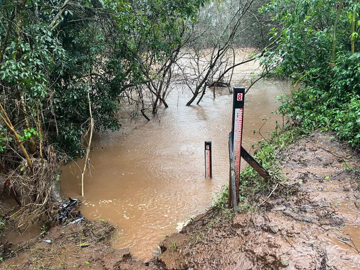 FOTOS: Rio Pardinho sobe cerca de 30 centímetros em meia hora