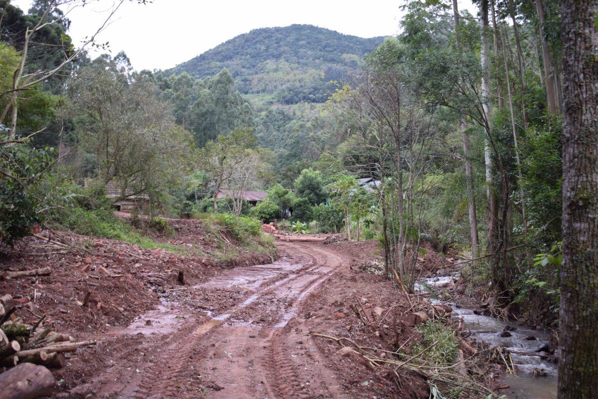 Enchente atingiu 75 municípios produtores e gerou cerca de R$ 95 milhões de prejuízo