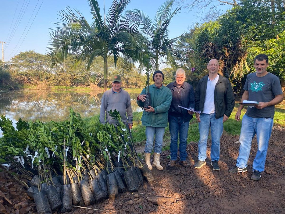 Secretaria de Desenvolvimento Rural de Venâncio Aires entrega 530 mudas de árvores frutíferas