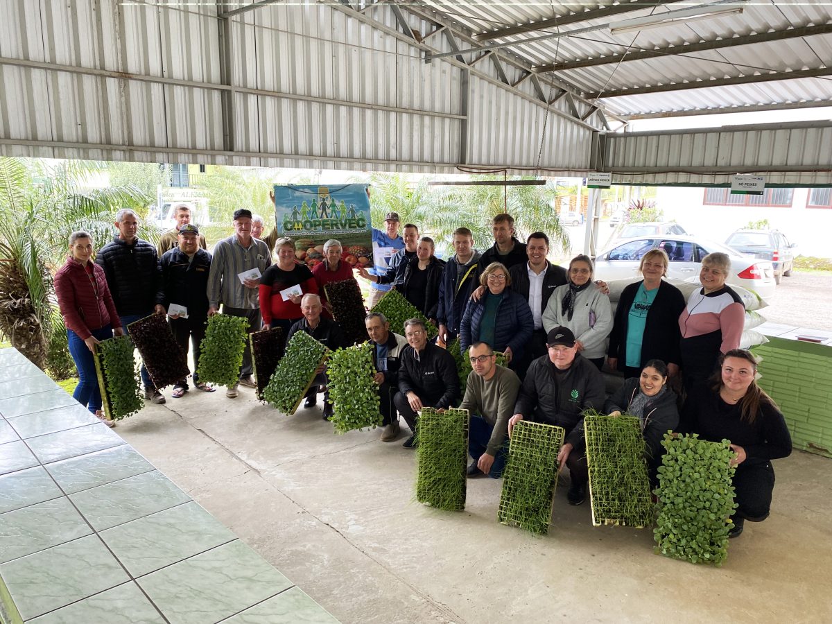 Agricultores recebem mudas para fortalecer a produção de alimentos