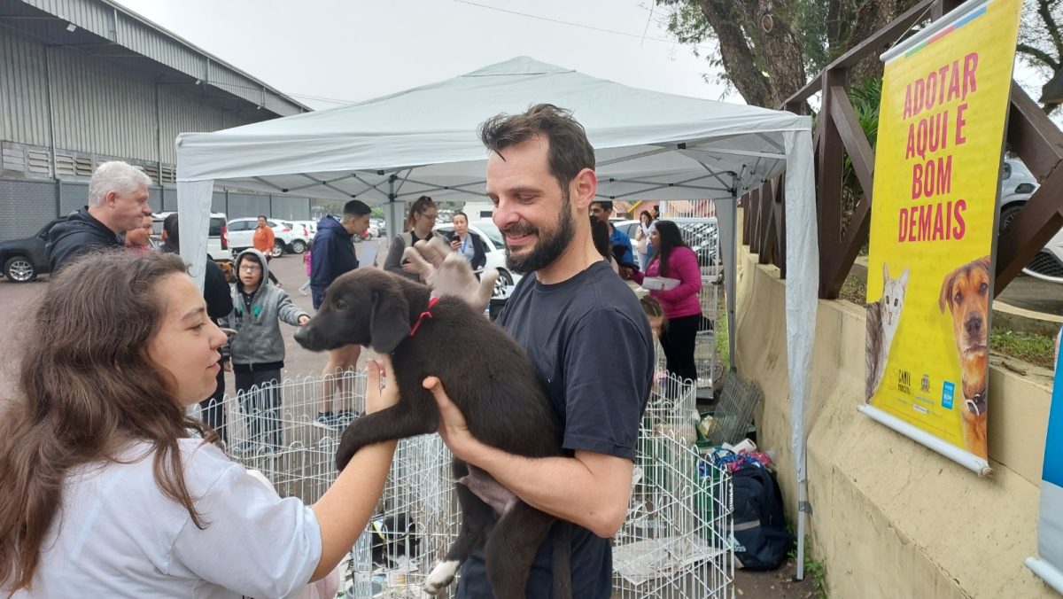 Sete animais ganham novo lar em Santa Cruz