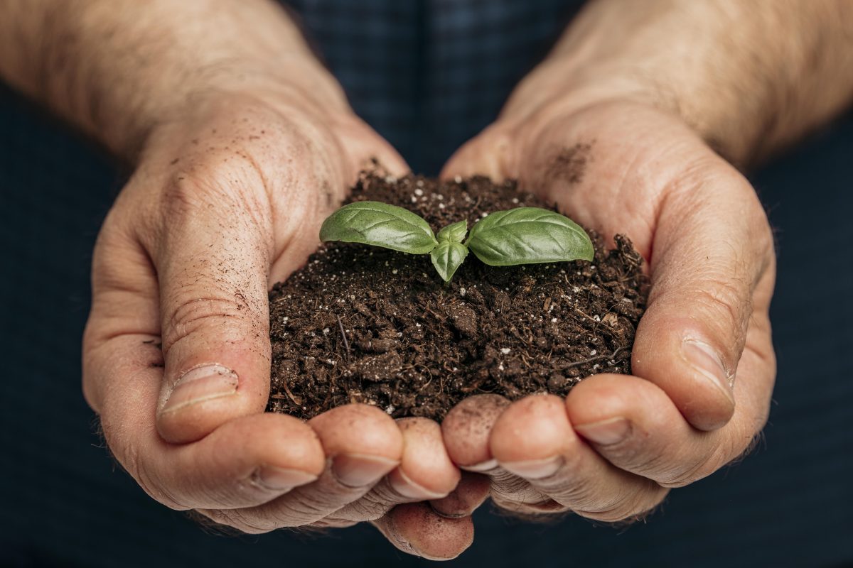 Pós-graduação gratuita em Agroecologia inscreve até esta sexta