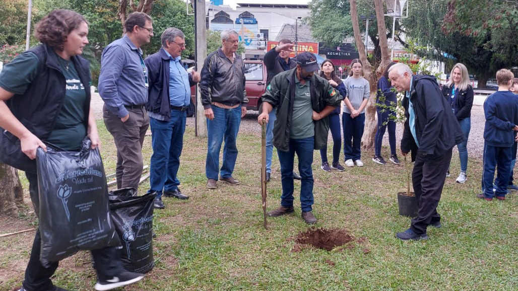 Amigos da Praça do Chafariz promove plantio de árvores neste sábado