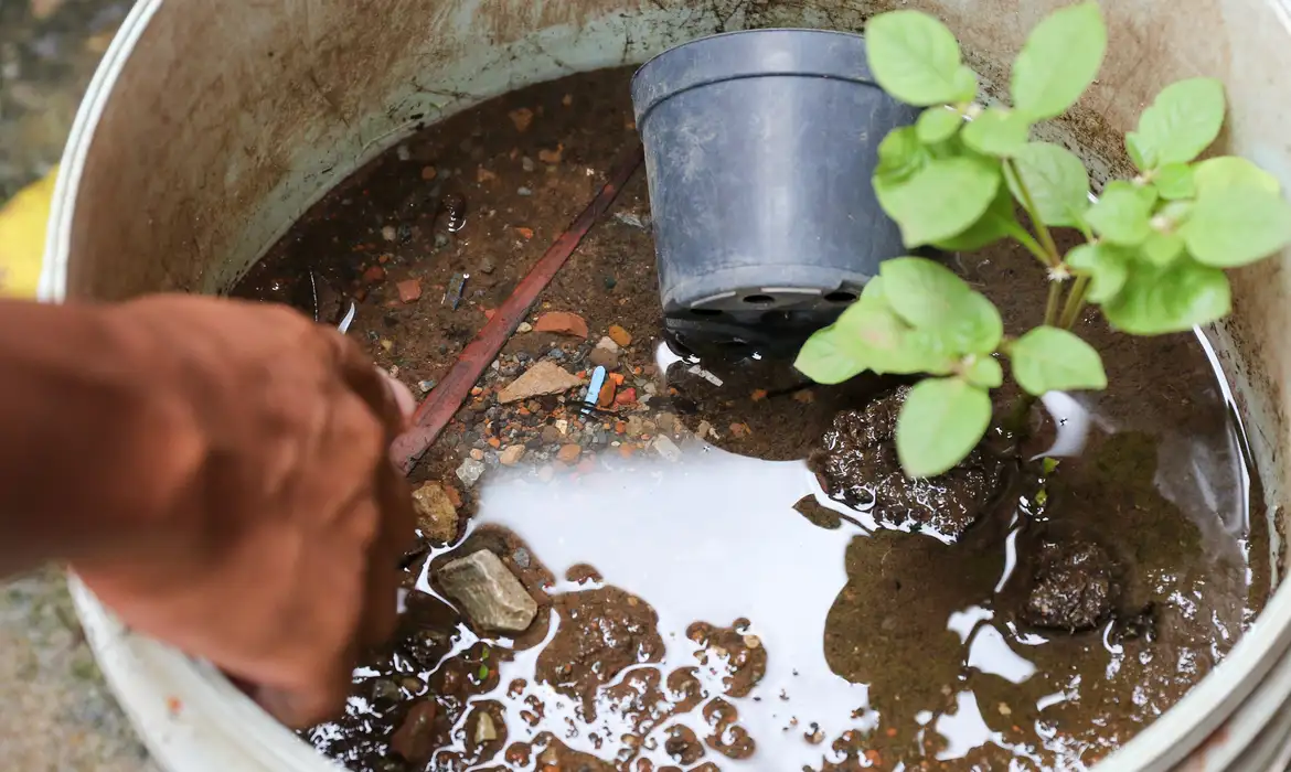 Santa Cruz terá laboratório para acompanhar focos do mosquito Aedes Aegypti