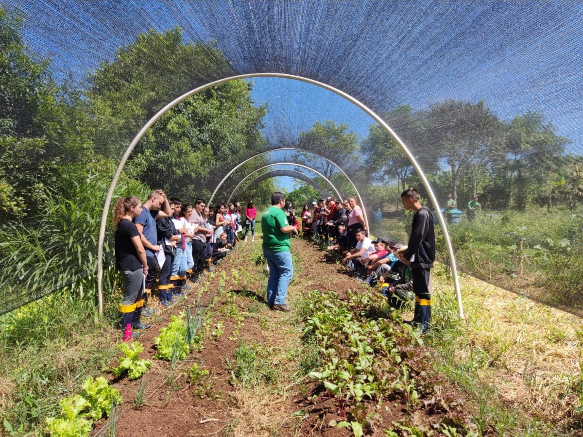 Escola Família Agrícola de Santa Cruz abre inscrições para ano letivo de 2025