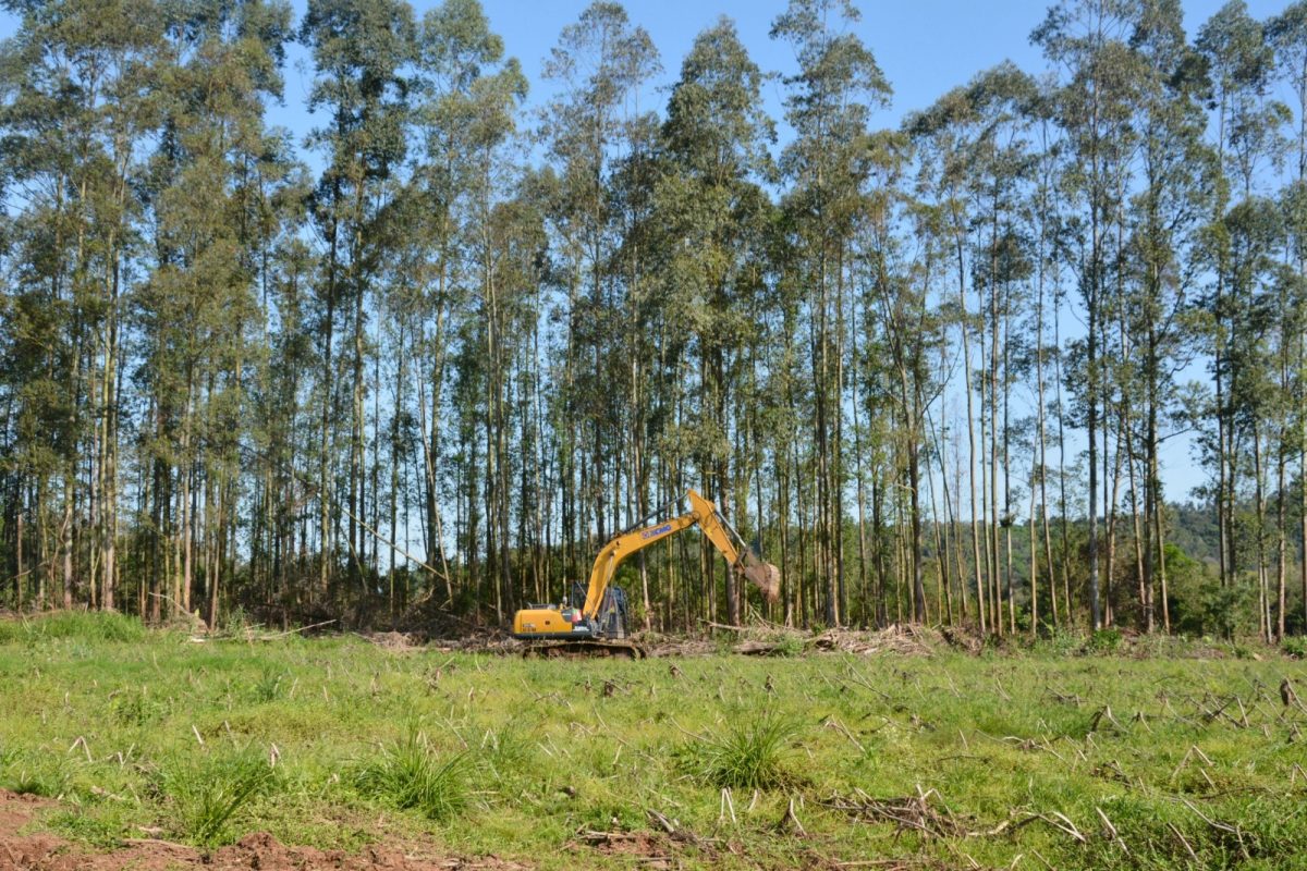 Ações da Patrulha Agrícola auxiliam produtores na recuperação das propriedades