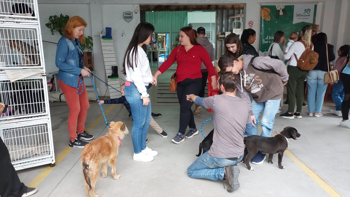 Centro de Bem-Estar Animal promove Feira de Adoção em Santa Cruz