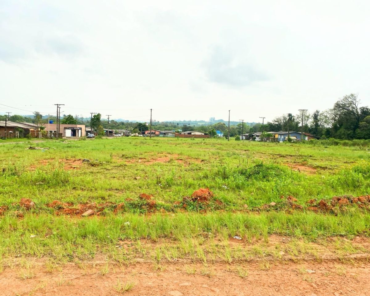 Empresa MTX apresenta melhor proposta para a construção das 52 casas no Bairro Battisti