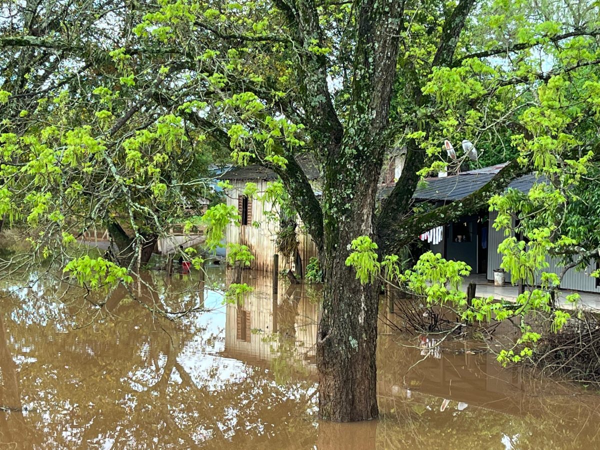 Após nova cheia, nível do Rio Pardinho começa a diminuir em Santa Cruz