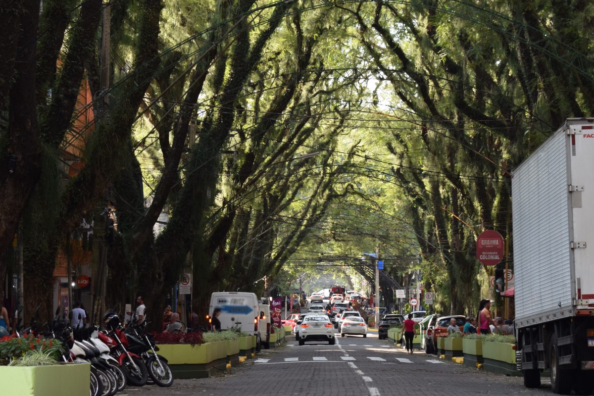 Nos últimos 10 anos, frota em Santa Cruz cresceu em 19.752 veículos