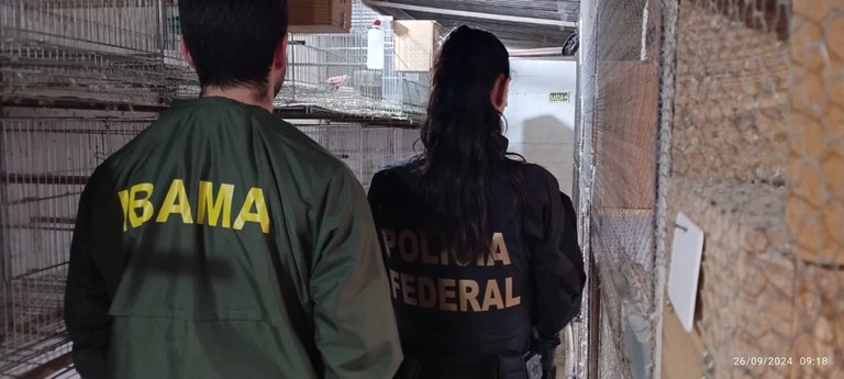 Polícia Federal deflagra operação contra crimes ambientais em Vera Cruz, Lajeado e Roca Sales