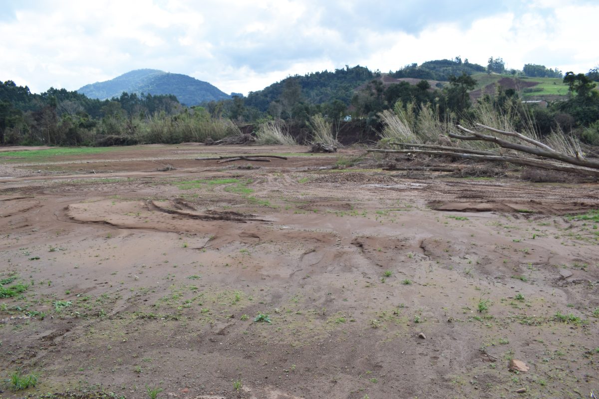 Evento com foco na agricultura regenerativa será lançado nesta quinta-feira