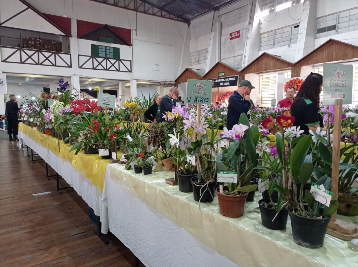 Exposição de Orquídeas segue neste domingo em Santa Cruz