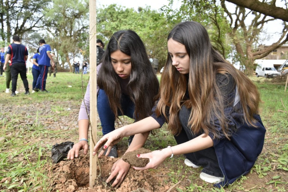 Centenas de mudas de árvores são plantadas no Vale do Taquari