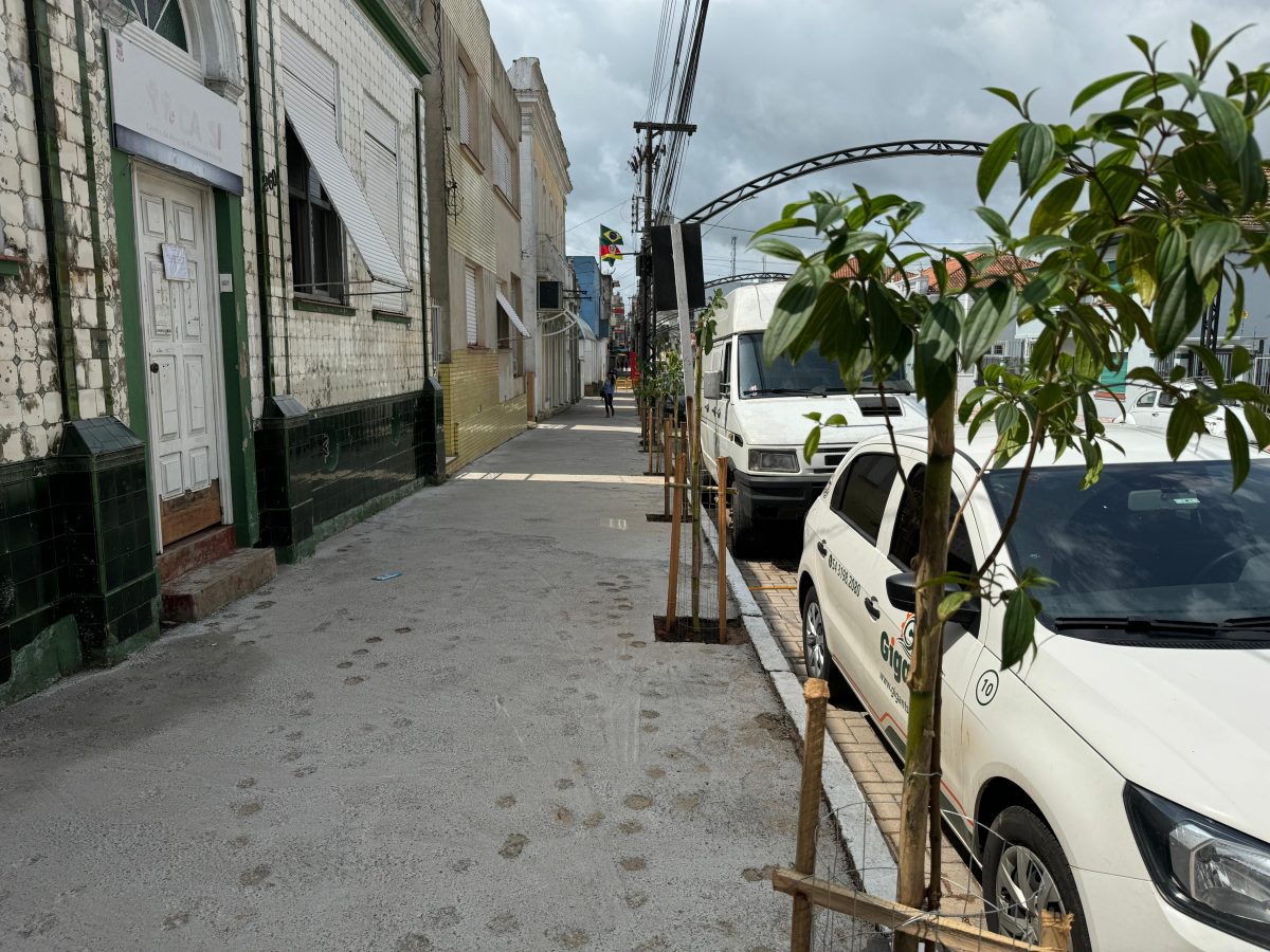 Rua Andrade Neves recebe mudas de árvores