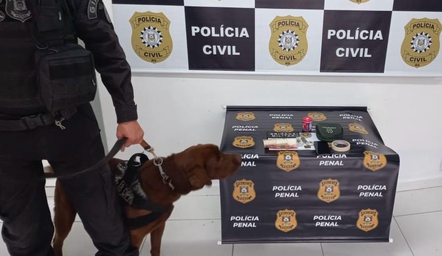 Cão farejador localiza droga e homem é preso por tráfico