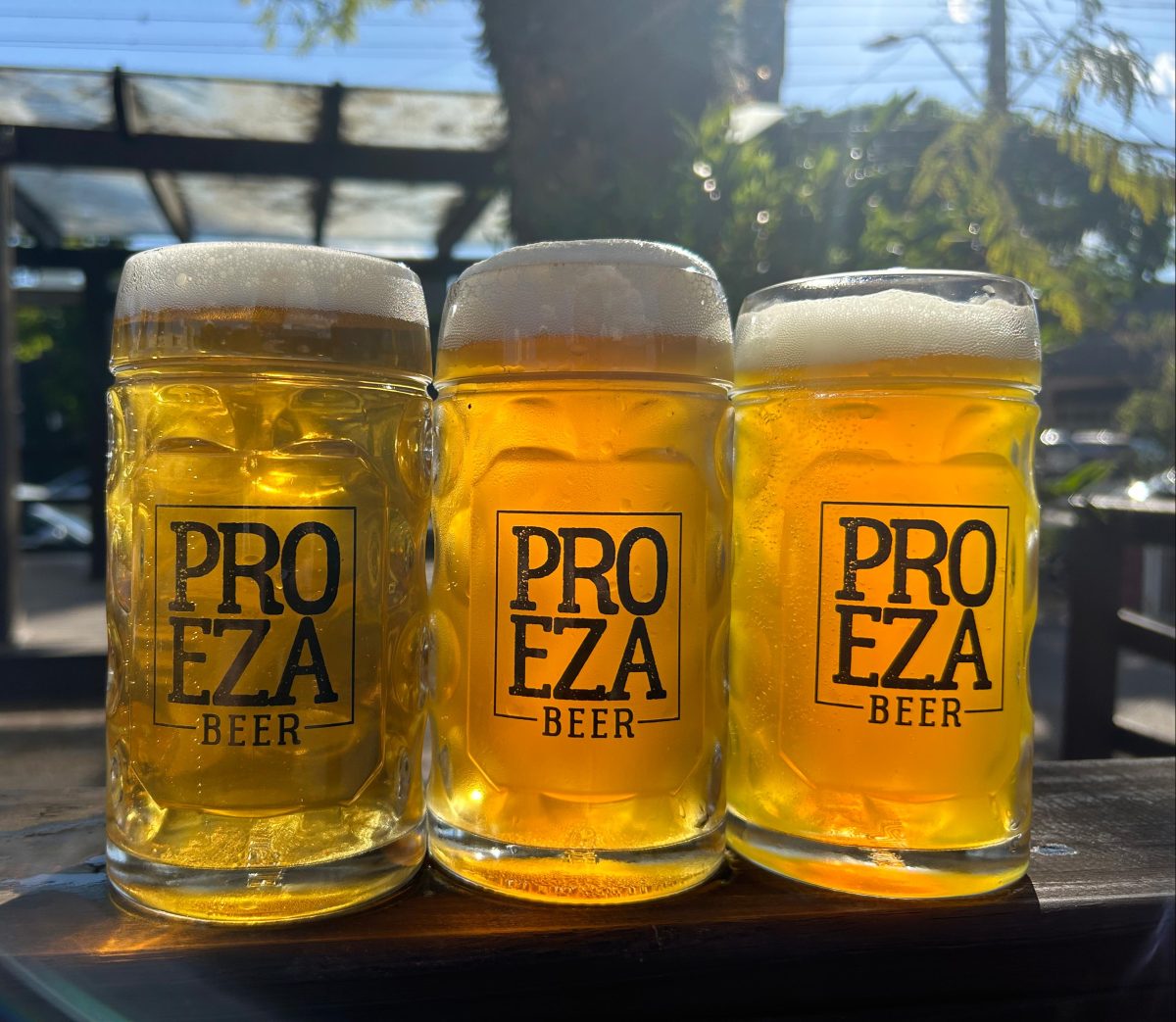 Proeza Bier lança cerveja Low Carb com baixo teor de carboidrato