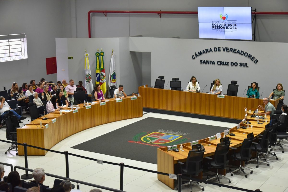 Audiência pública apresenta a Rede Nacional de Proteção e Defesa da Pessoa Idosa