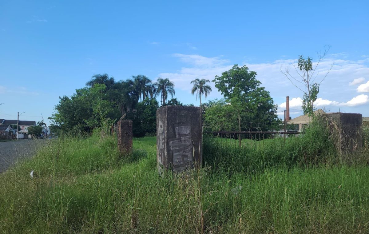 Aumenta fiscalização em terrenos baldios de Venâncio Aires