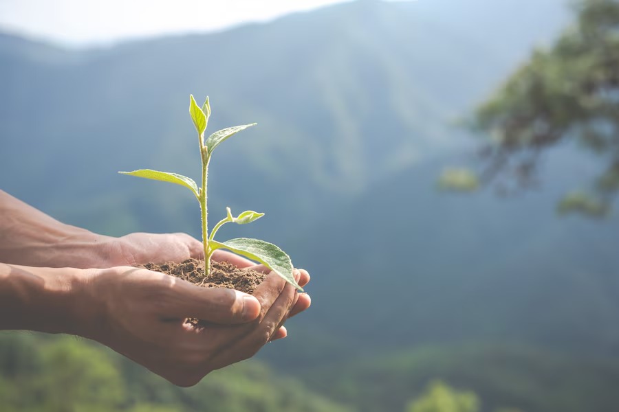 Conferência Intermunicipal do Meio Ambiente será em dezembro