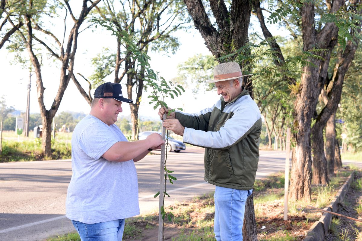 “Vai ser um incentivo à arborização urbana com qualidade”, destaca o Coordenador do DEMA de Vera Cruz após aprovação do projeto de lei