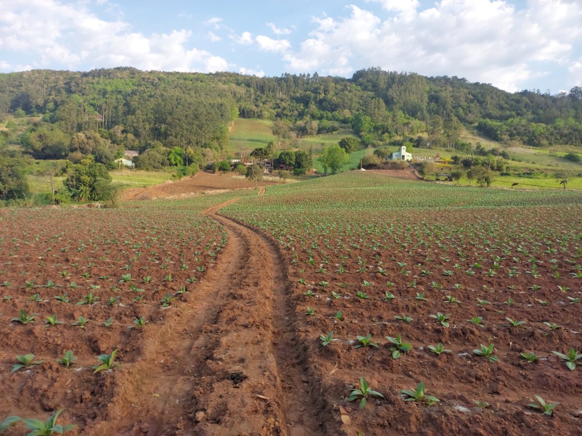 Prefeitura de Venâncio Aires quer mapear zona rural do município com auxílio de GPS