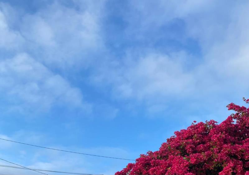 Fim de semana deve ser de tempo firme e sol em Santa Cruz