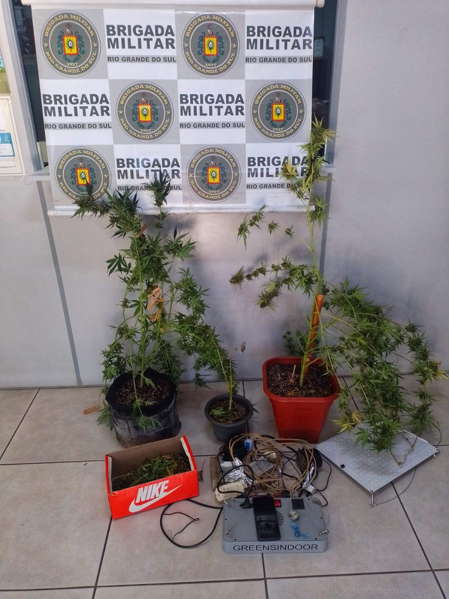 Homem é preso cultivando maconha em estufa artesanal em Venâncio Aires