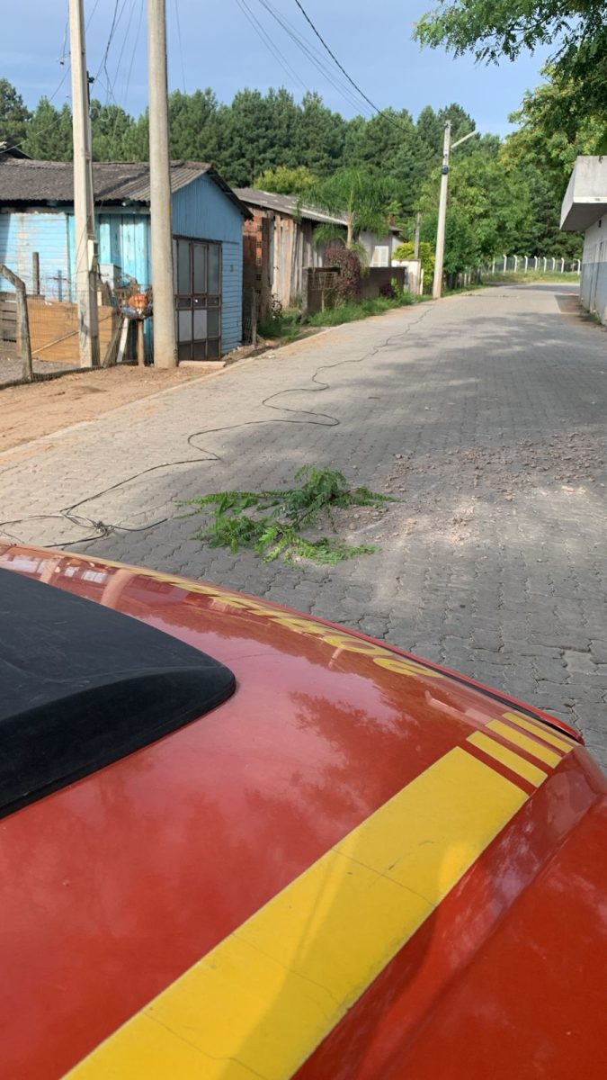 Queda de fio de alta tensão mobiliza bombeiros