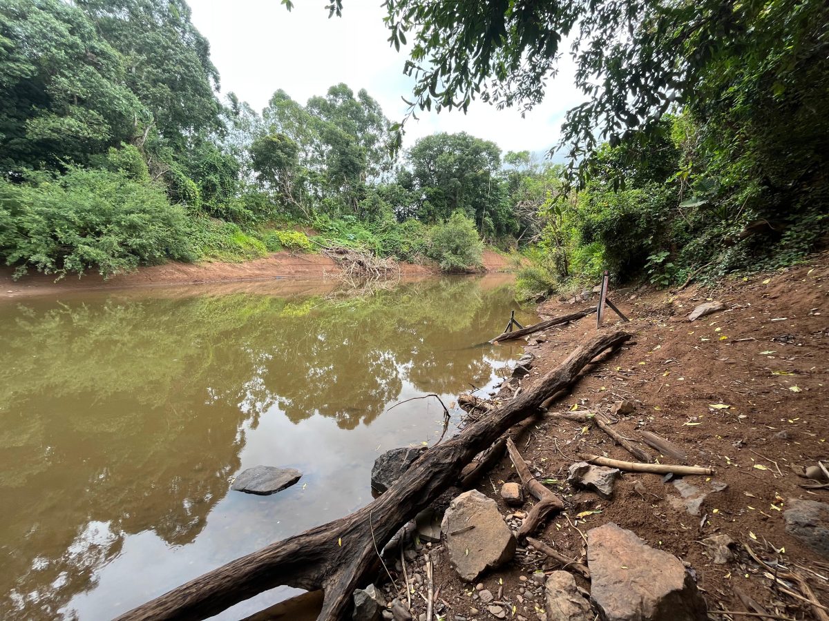 Morador do Bairro Várzea pede cuidados após afogamento no Rio Pardinho