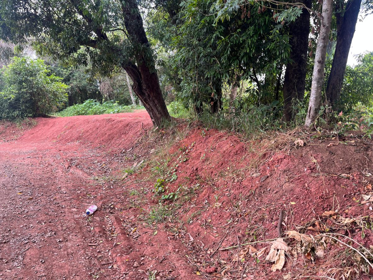 Taipa para diminuir impacto da enchente e espaços de lazer: veja as demandas que serão apresentadas ao prefeito