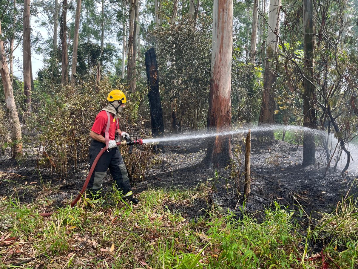 Na contramão do cenário nacional, Vale do Rio Pardo registra redução em áreas queimadas